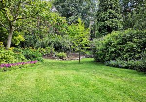 Optimiser l'expérience du jardin à Hopital-Camfrout